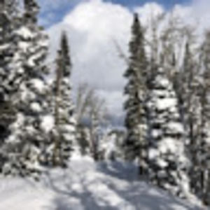 Meet your Posher, Margaret